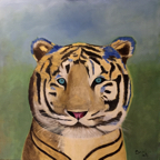 Tigre 70x70