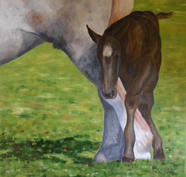 Le poulain 80x80