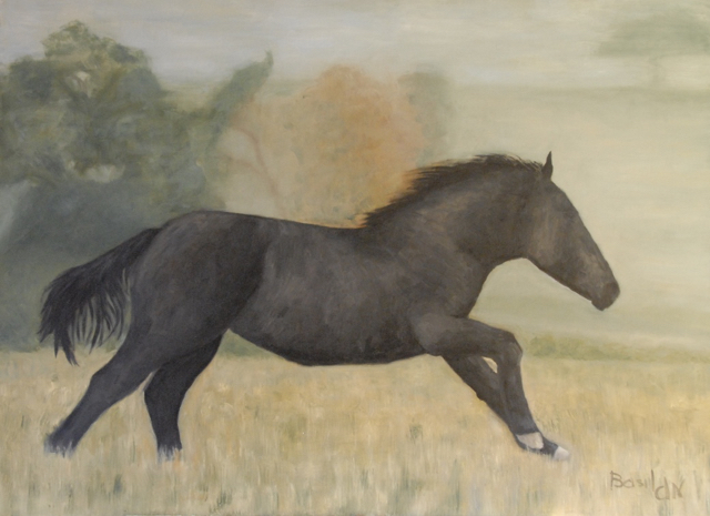 Cheval noir galopant 73x100