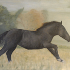 Cheval noir galopant 73x100