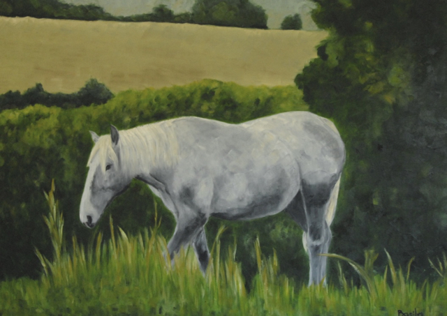 Cheval blanc en campagne 65x92